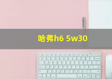 哈弗h6 5w30